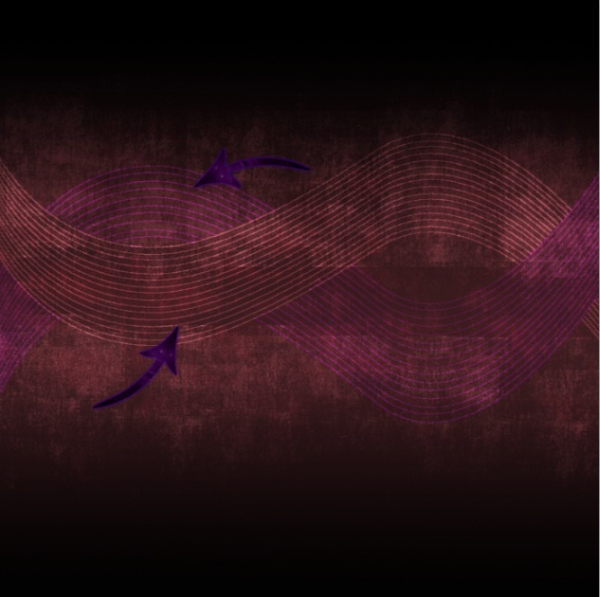 step 7